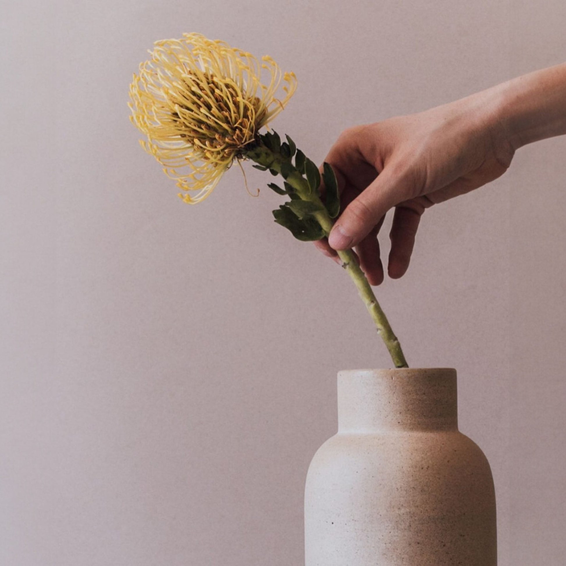 Yellow flower stem in a sand bottle vase on a neutral surface.