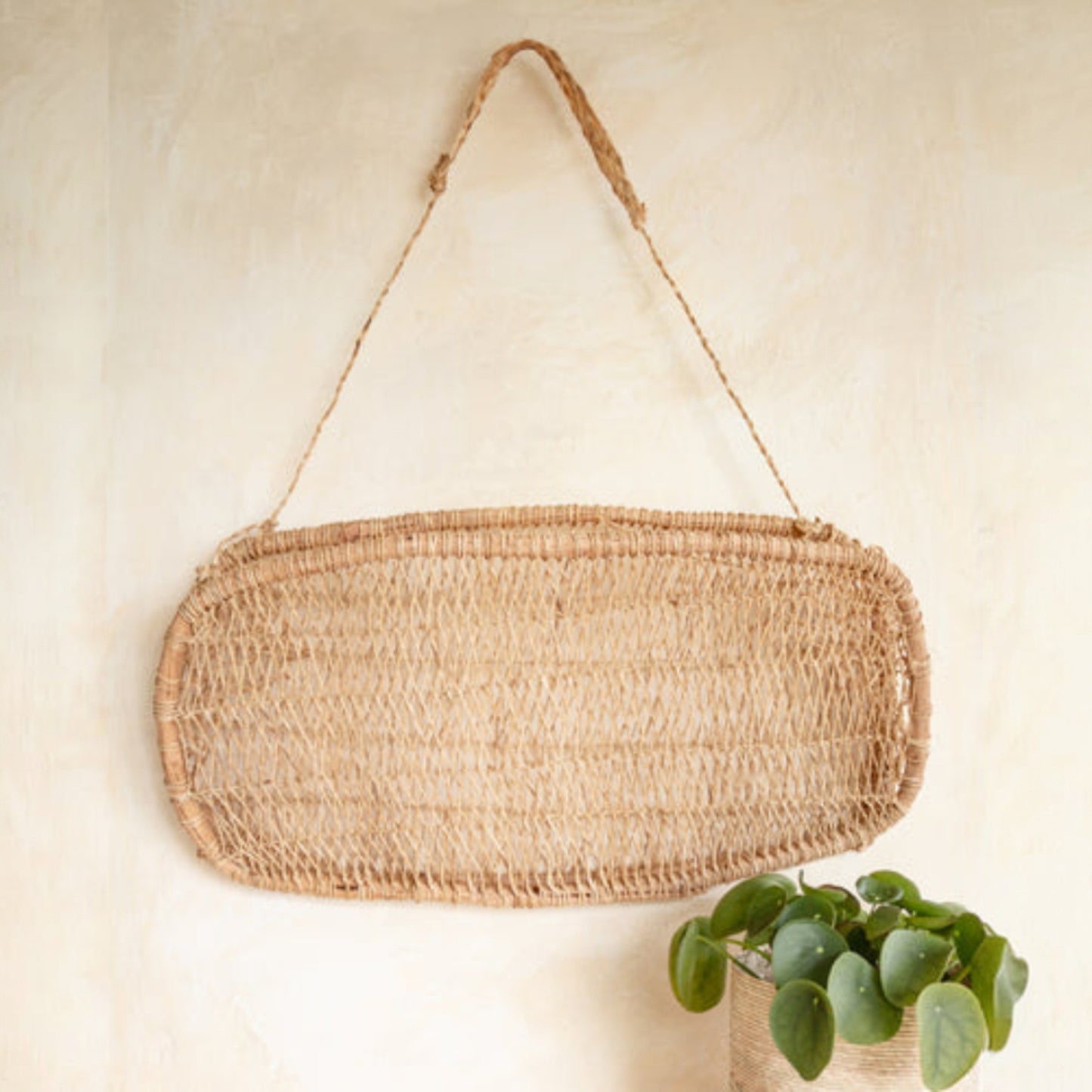 Large handwoven jonote wall basket hanging on a textured cream wall with a plant beside it.