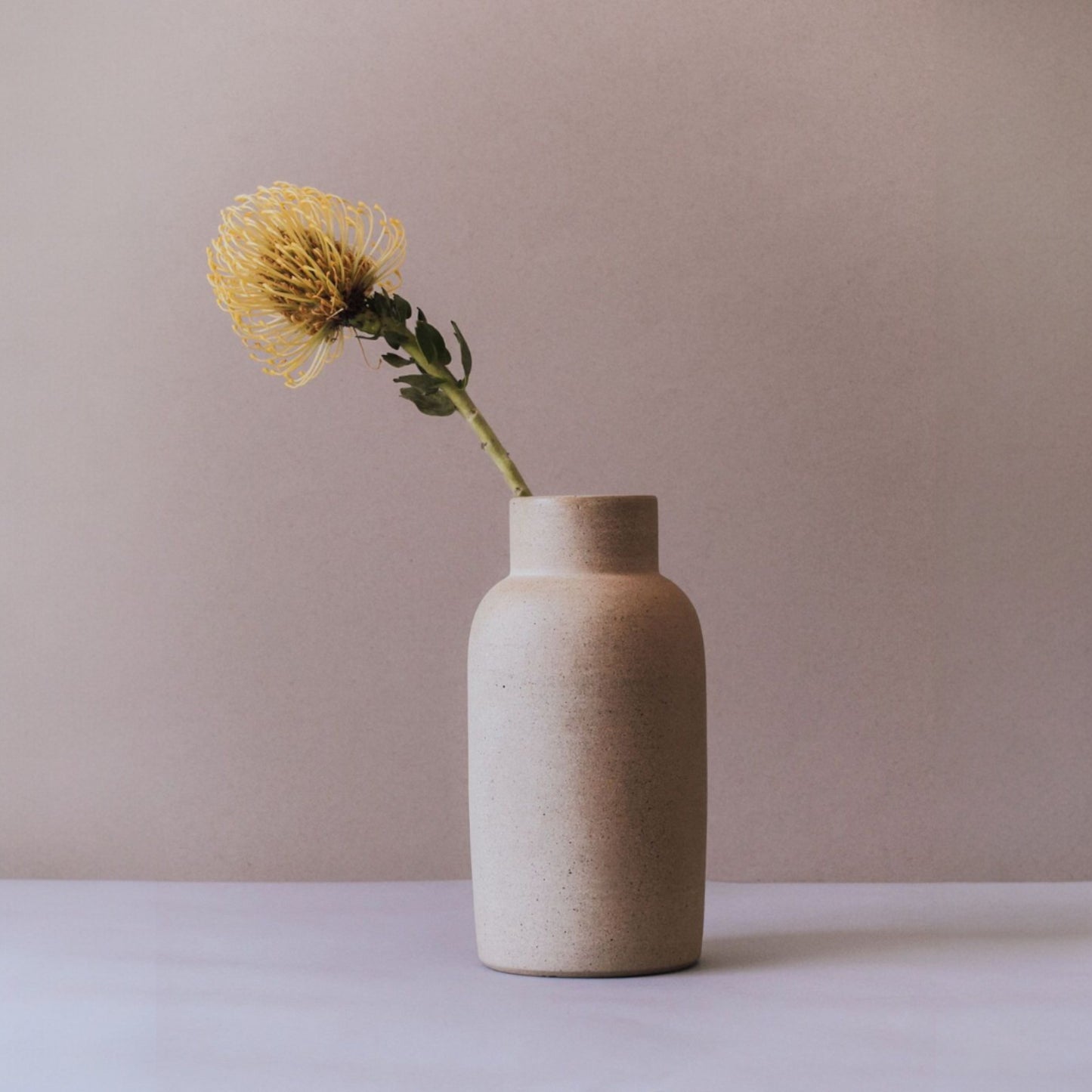 Sand terracotta bottle vase with a single yellow stem on a white surface.