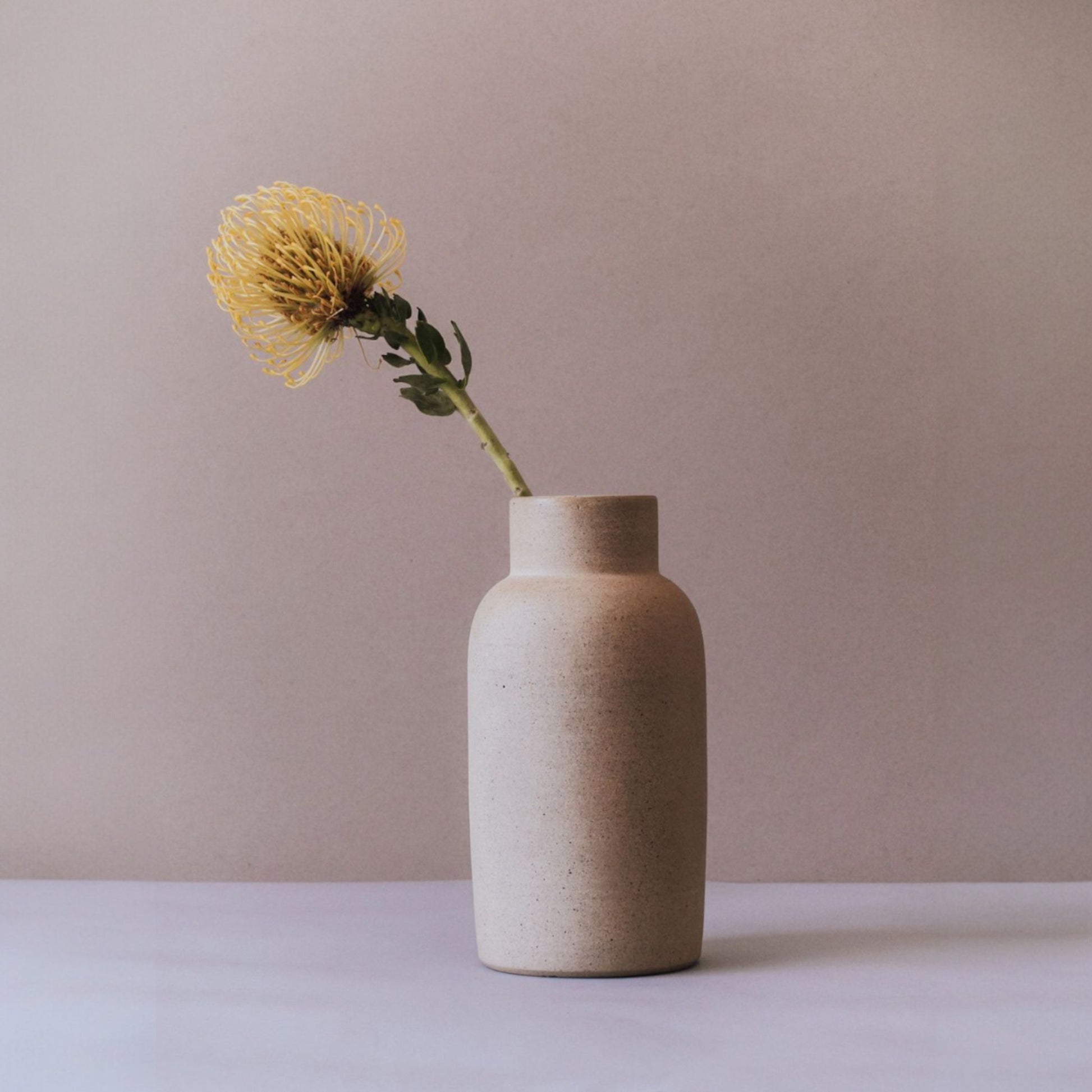 Sand terracotta bottle vase with a single yellow stem on a white surface.